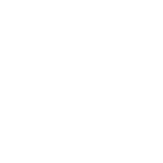 Adulto